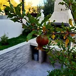 公寓 Zunabovic 特罗吉尔