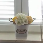 Zunabovic * 特罗吉尔