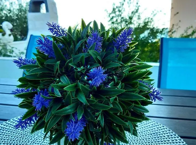 Apartment Zunabovic *