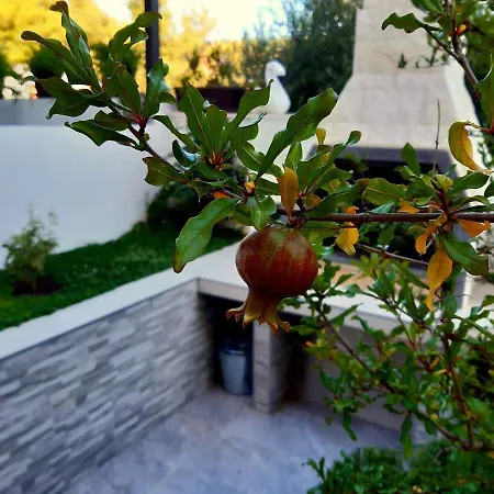 Apartman Zunabovic Trogir