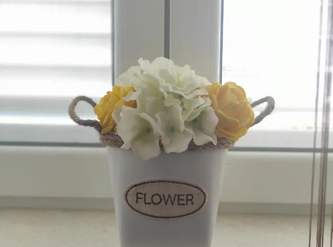 Zunabovic * 트로기르